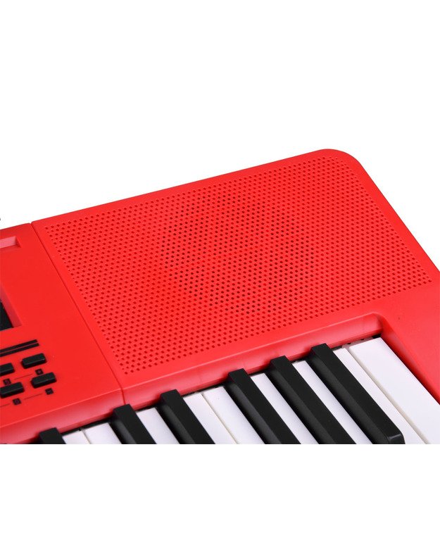 Big Keyboard Organ BF-950A + microphone IN0140