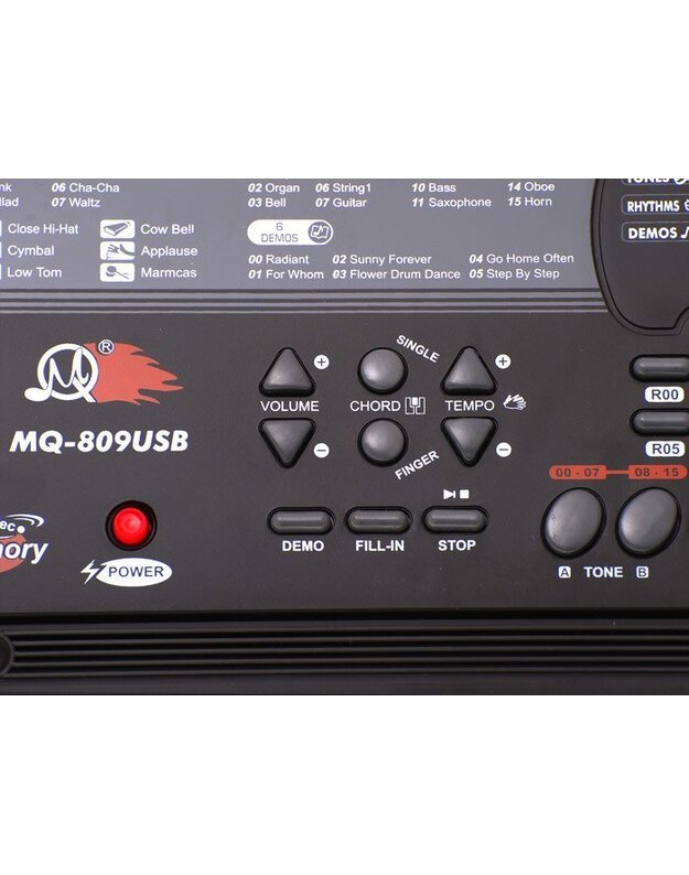 Didelis sintezatorius MQ 809