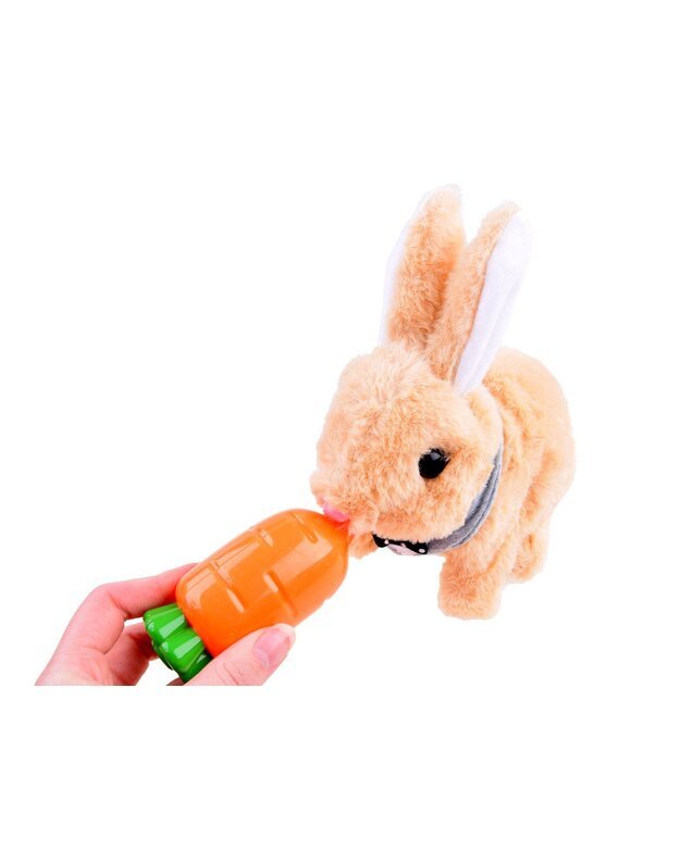 Interactive Rabbit in a basket + accessories ZA3551