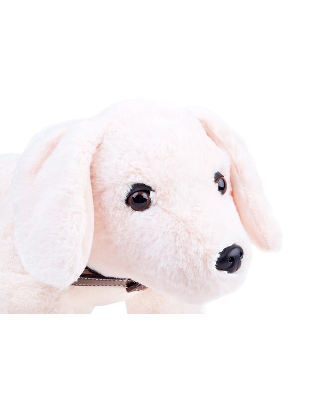  Plush puppy dog ​​cuddly 45cm ZA3032