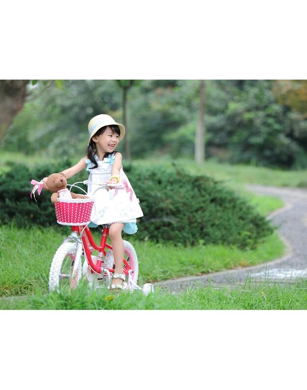 Vaikiškas dviratis su krepšeliu Royal Baby STAR GIRL 14   - mėlynas