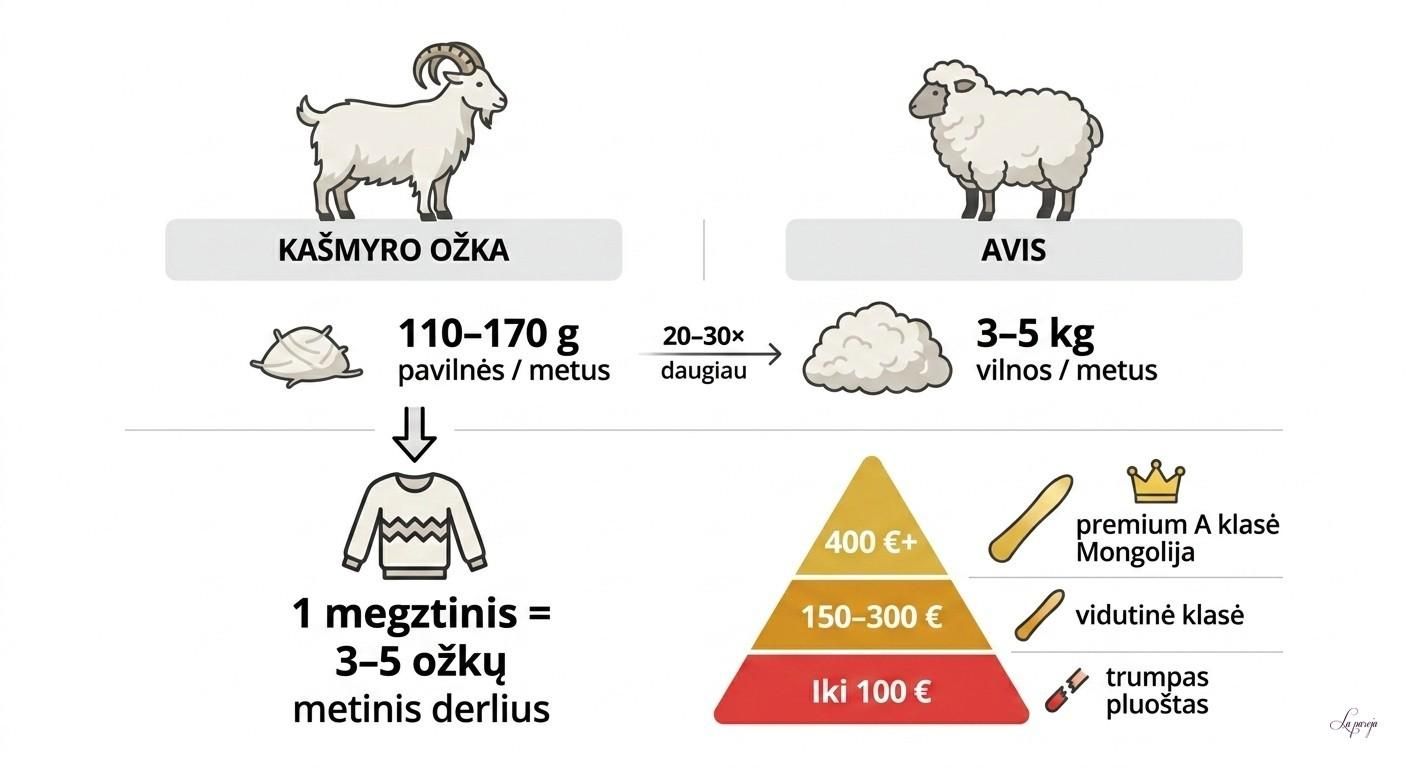 Kašmyro kaina ir žaliavos kiekis: ožkos prieš avis ir kainų segmentai – statistinis infografikas