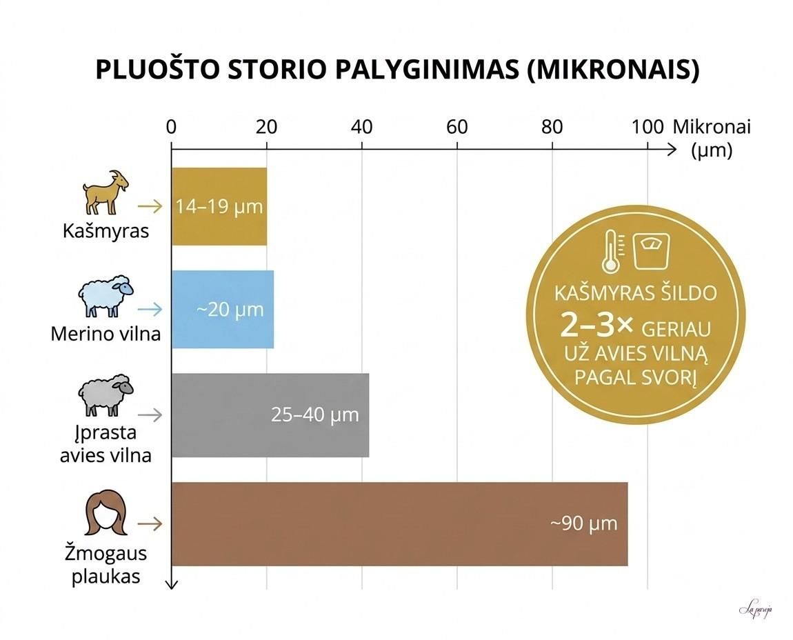 Pluošto storio palyginimas mikronais: kašmyras, merino vilna, avies vilna ir žmogaus plaukas – vizualinis infografikas